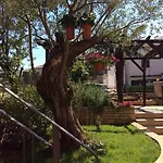 Juli's Place 公寓 罗维尼村