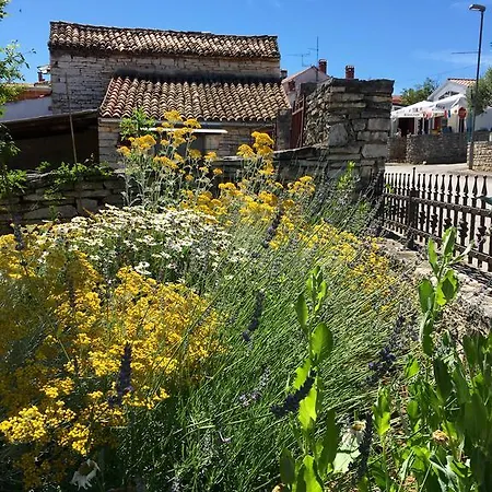 アパート Juli's Place ロヴィンスコ・セロ